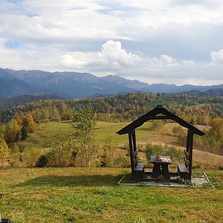 La Odai Bran  Exteriér fotografie