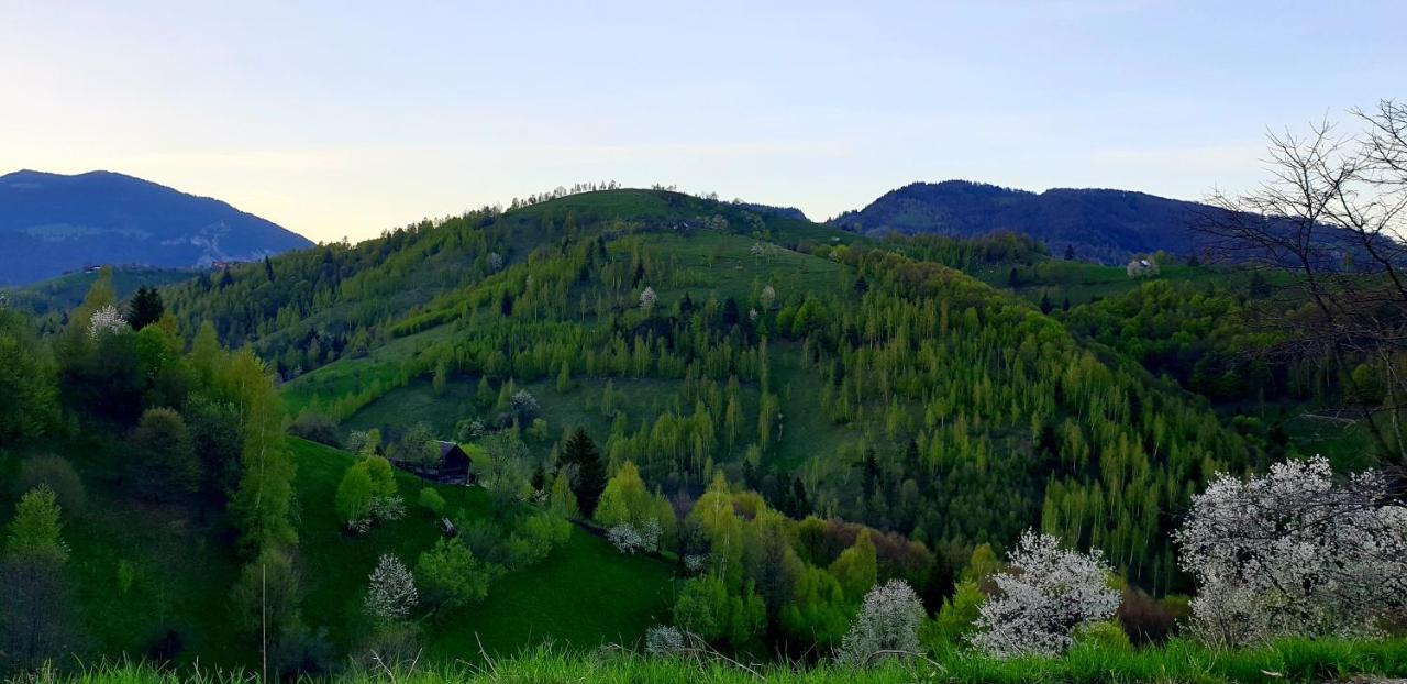 La Odai Bran  Exteriér fotografie