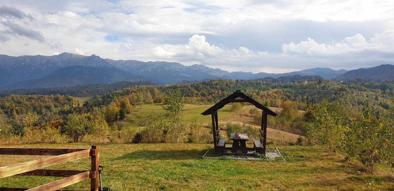 La Odai Bran  Exteriér fotografie